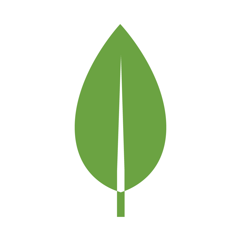 MongoDB Logo